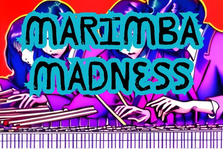 MARIMBA MADNESS - Hilton Arts Festival 2025